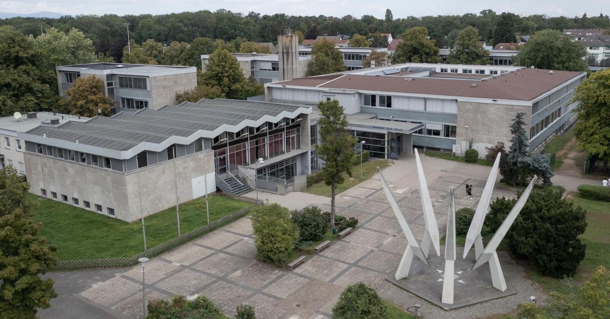 School transfer in Rüsselsheim: Most fifth graders end up at their ...