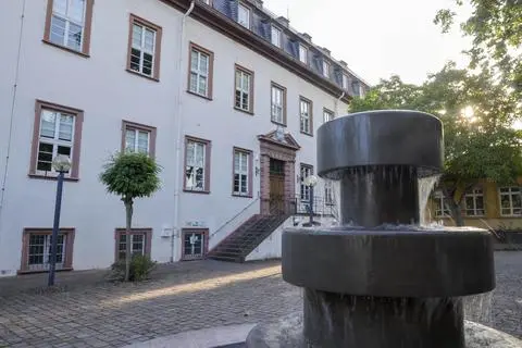 In Guntersblum wünscht man sich, dass Teile der Verwaltung der VG Rhein-Selz im Leininger Schloss bleiben. 