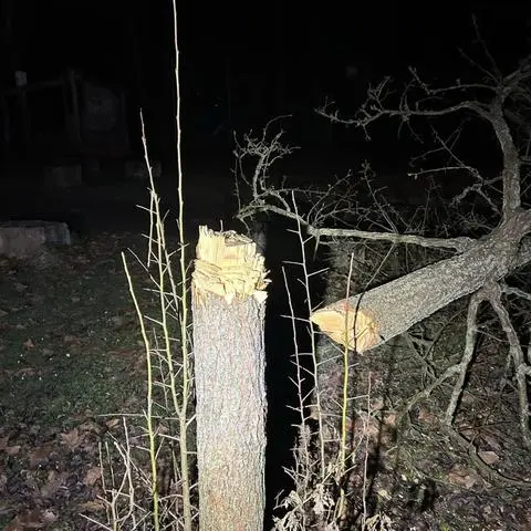 Bereits am 27. Dezember 2024 ist ein Baum am Spielplatz in der Oberstadt gefällt worden.