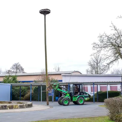 Das Storchennest auf dem Gelände der Martin-Niemöller-Schule muss versetzt werden. Dort, wo es bislang stand, sollen als Schulerweiterung Klassenraum-Container aufgestellt werden. 