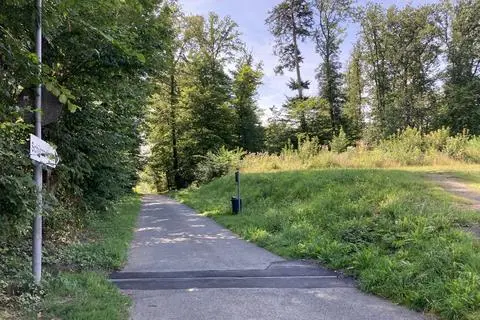In Verlängerung des bestehenden Gewerbegebiets am Ende der Straße „Bleichgärten“ in Richtung Schützenhaus will die Gemeinde Hohenahr mehr Platz für Gewerbetreibende in Hohensolms schaffen.