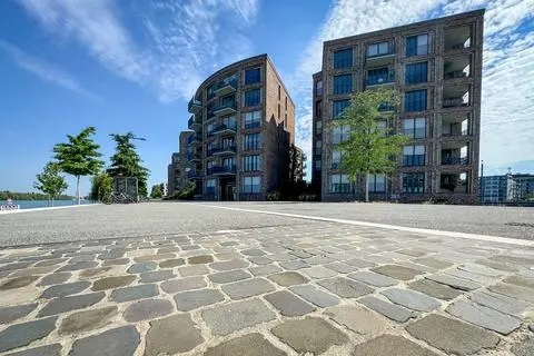 Versiegelte Plätze in Mainz stehen immer wieder in der Kritik. So auch das Areal an Zollhafen. 