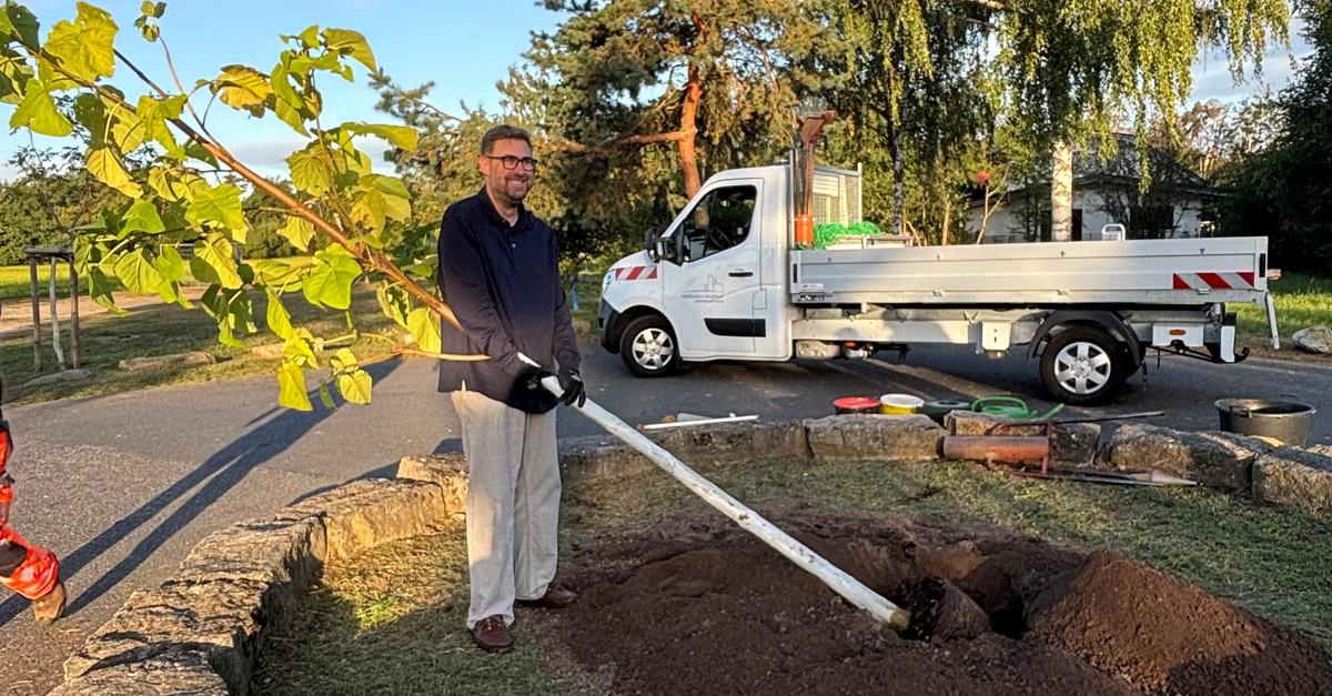 Tree planting challenge has the Groß-Gerau district reaching for its spade