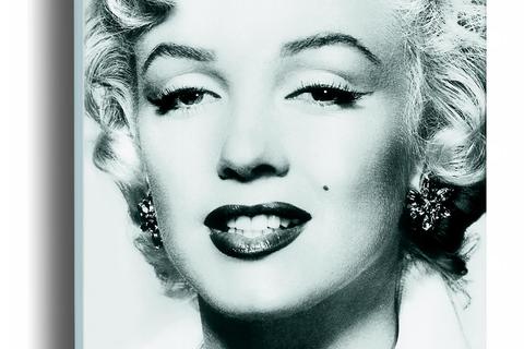 Silver Marilyn: Marilyn und die Kamera – Photographien aus den Jahren 1945-1962. Deutsch/ Englisch, Schirmer/ Mosel, 152 Tafeln in Farbe und Duotone, 248 Seiten, 29,80 Euro 