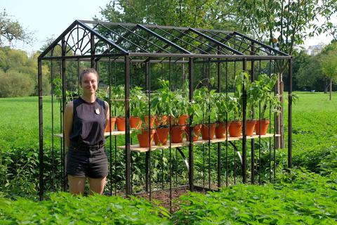 Catherina Rother pflanzt Brennnesseln in ihr „Künstliches Paradies für Wildpflanzen“. Fotos: Hahn-Grimm