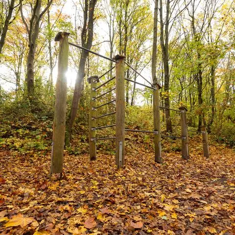 Eine Station des in die Jahre gekommenen Trimm-Dich-Pfades auf dem Wartberg. Die Anlage wollen Stadtverwaltung und Rotary-Club sanieren, auch mit Geldern der AZ-Aktion "Leser helfen". Viele Spaziergänger und Sportler sind regelmäßig hier. (Archiv +)
