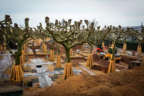 Szenenbild für den deutschen Oscar-Beitrag "Im Westen nichts Neues"? Nein, diese Gräben durchziehen derzeit die Baustelle Platanenhain auf der Mathildenhöhe.