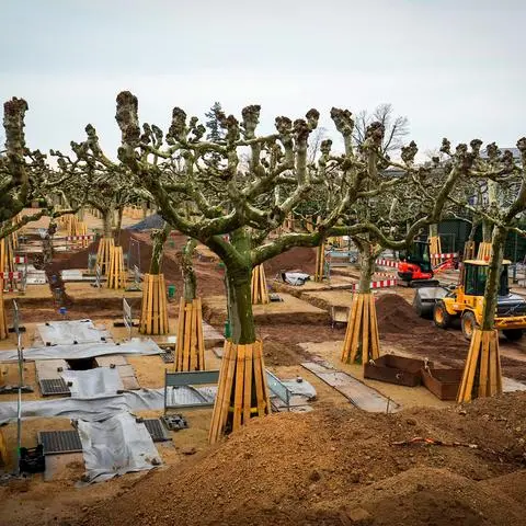 Szenenbild für den deutschen Oscar-Beitrag "Im Westen nichts Neues"? Nein, diese Gräben durchziehen derzeit die Baustelle Platanenhain auf der Mathildenhöhe.