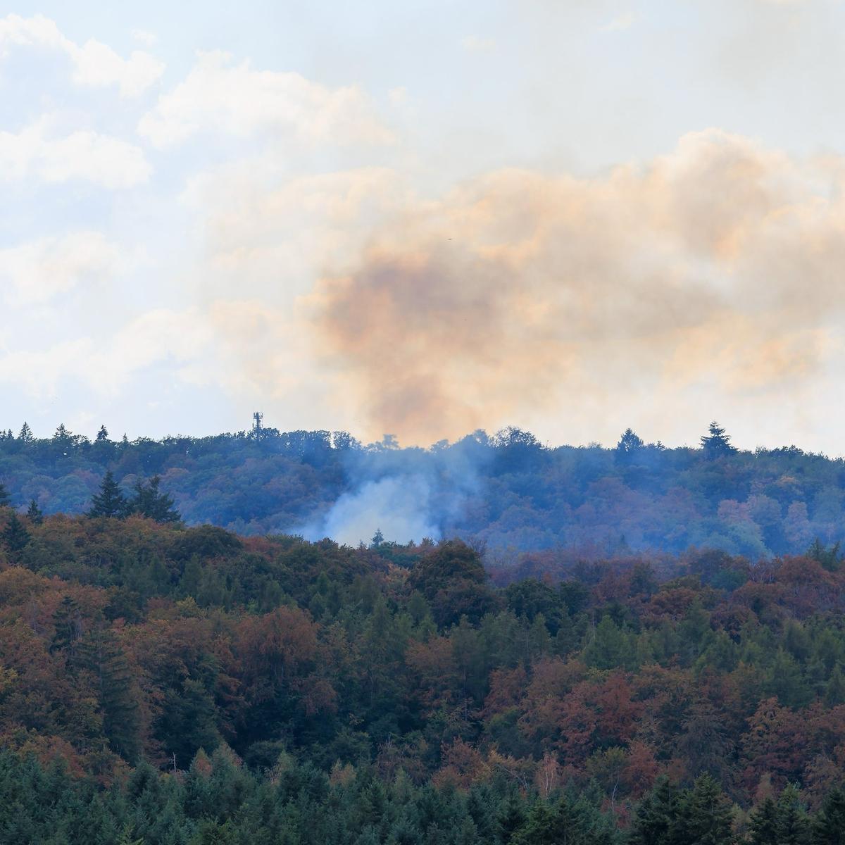 Flammen im Wald breiten sich aus – schwierige Löscharbeiten