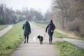 Mit dem März begann auch wieder die Brut- und Setzzeit. Hundehalter, wie hier am Biedensand, müssen ihre Tiere vielerorts an die Leine nehmen.