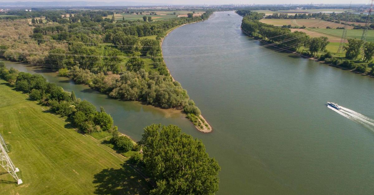 Woman's body found in the Rhine near Lampertheim: Investigations in ...