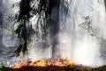 Um Waldbrände zu verhindern, gilt in Wiesbaden nun die Warnstufe 4. Alle Grillplätze sind geschlossen.