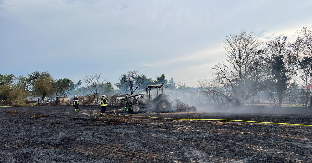 The Importance of Farmers in Battling Fires and Climate Change