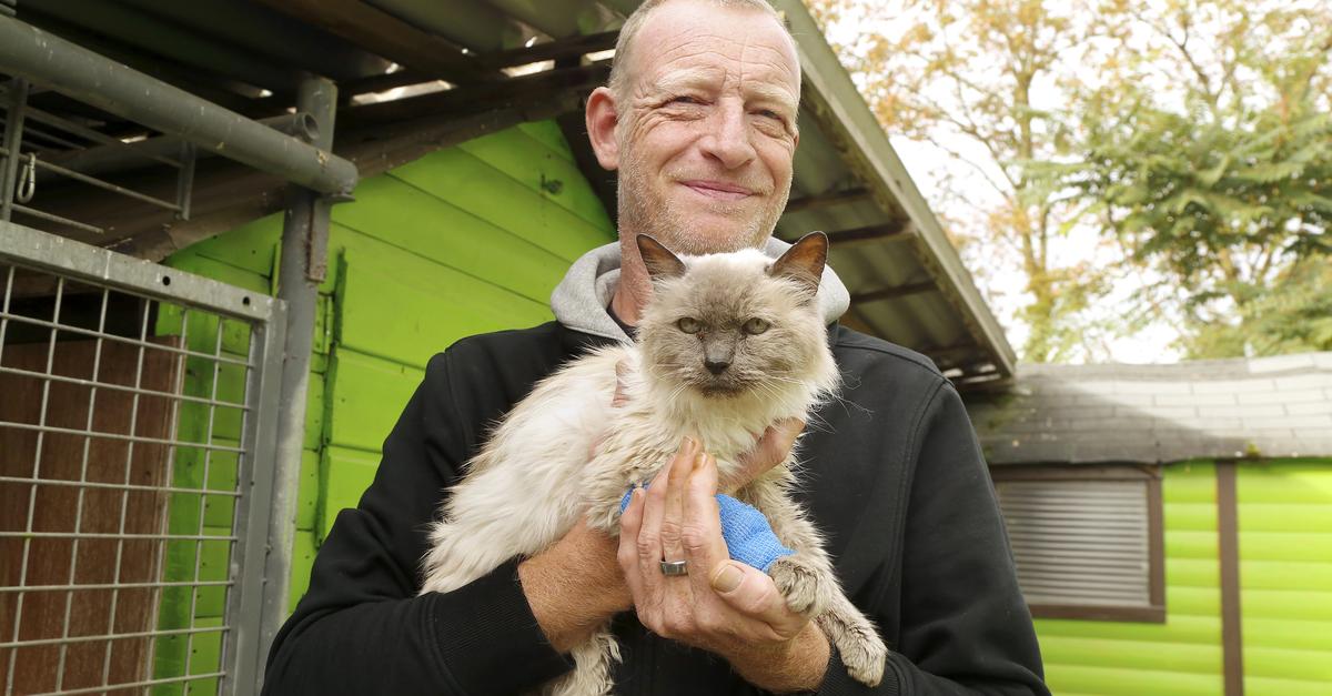 Weiterstadt: 19 Jahre alter Kater auf Parkplatz ausgesetzt
