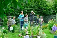 Auch die Gärten der Nachbarschaft wurden von den Ferienspielkindern auf ihre Bienenfreundlichkeit hin unter die Lupe genommen.