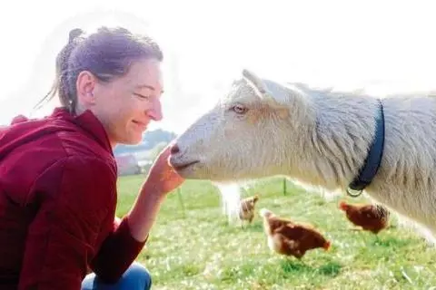 Zu Franziska Zipf hat Ziegenbock "Harry" ein vertrauensvolles Verhältnis. Die 33-Jährige hat ihn aus dem Tierschutz geholt.