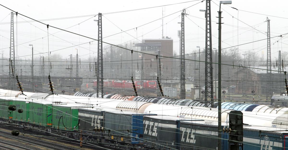 Groß-Gerau District Council: Support for Gaza children and DB Cargo ...