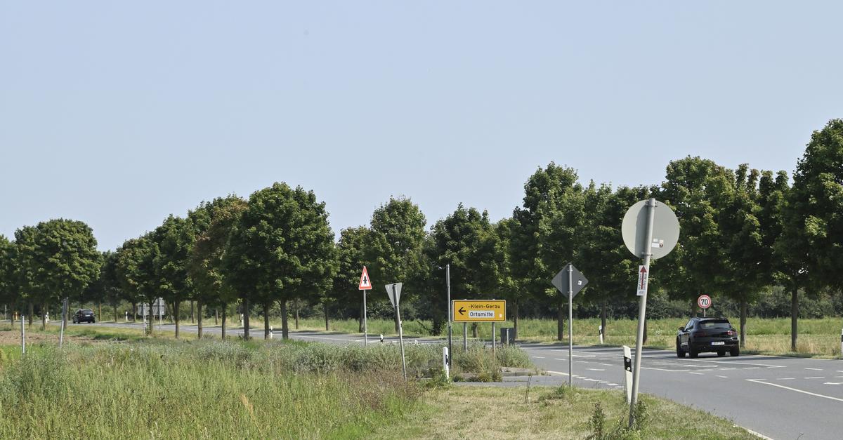 Lückenschluss an der Baumallee in Klein-Gerau geplant