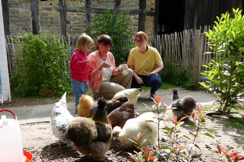 Ein Hobby für die ganze Familie. Hühner sind liebenswerte Tiere und auch für Kinder ein Gewinn. So hilft Enkelin Emilia Manuele Degen (Mitte) und Celine Niel ganz selbstverständlich beim Füttern der Tiere. 