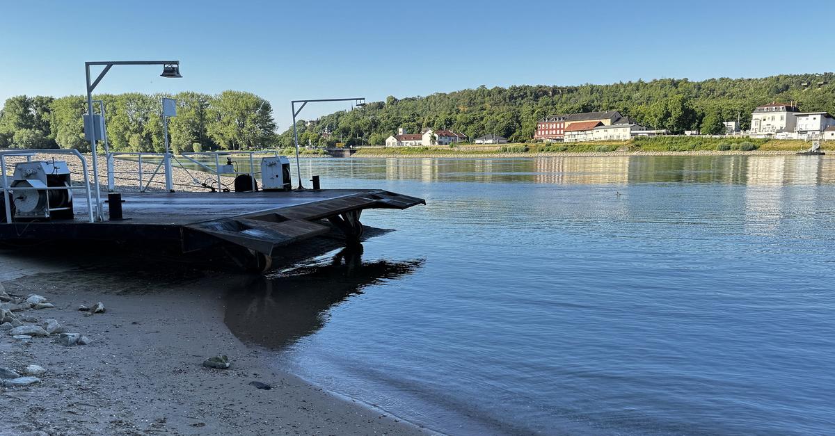 Kornsand: Ferry defies low water levels on the Rhine