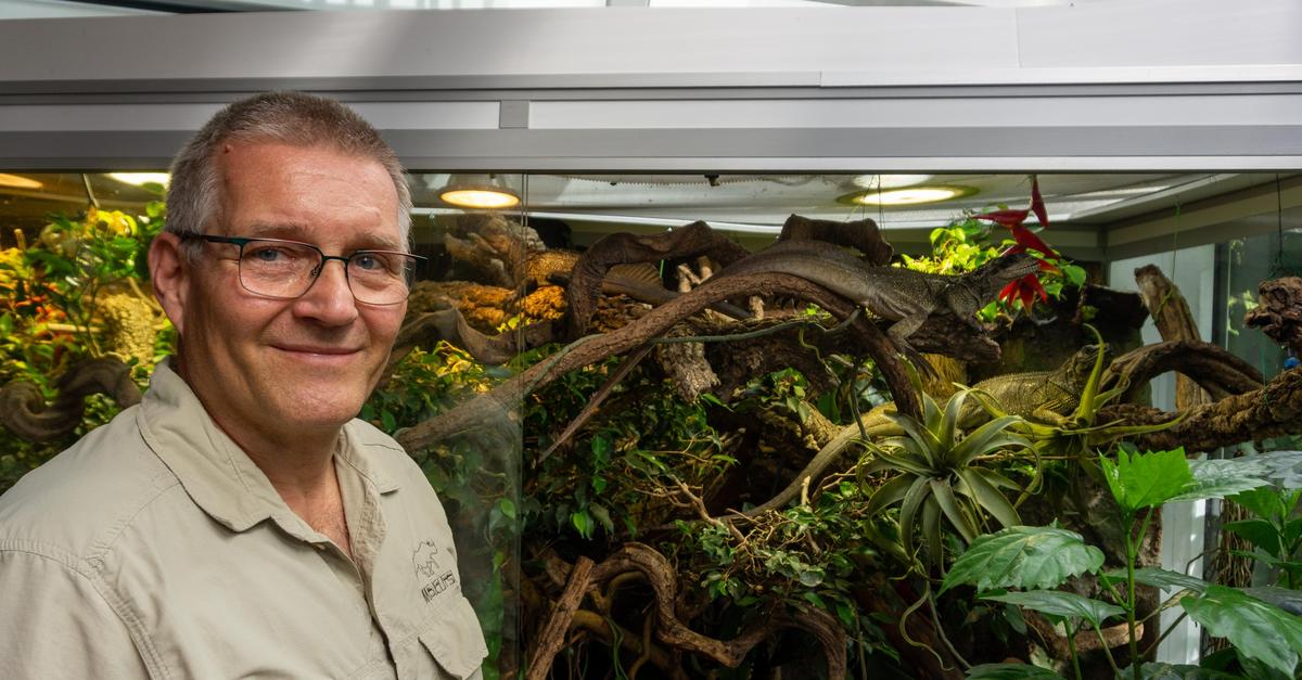 Wildnis im Wintergarten: Die Tropenwelt von Ingo Kober in Groß-Gerau