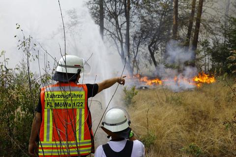 Um einer dramatischen Waldbrandentwicklung, wie hier zu sehen in Mörfelden-Walldorf, vorzubeugen, bereiten sich Einsatzkräfte im Kreis Groß-Gerau ganzjährlich vor.  Foto: dpa