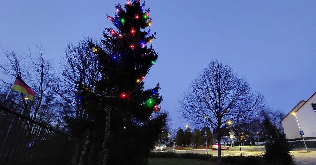 Weihnachtsbaum der Gartenfreunde schmückt das Viertel