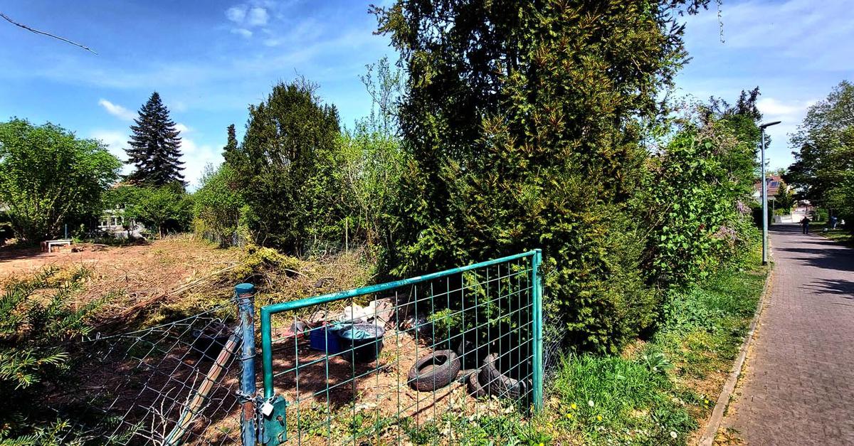 Weil schon viel Grün in Raunheim verschwunden ist
