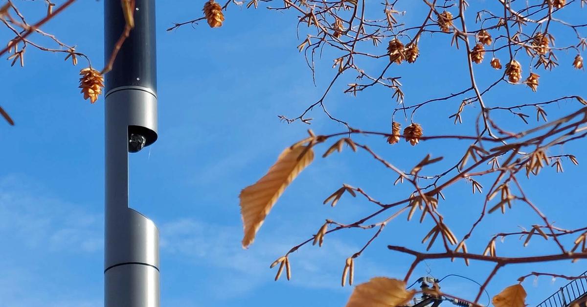 Unterschiedliche Meinungen zu Wlan-Hotspots in Raunheim