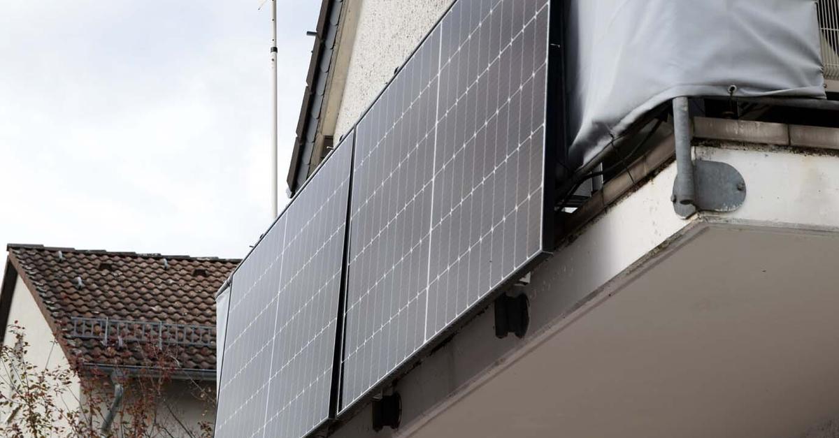 Dividende von 2,5 Prozent auf die gezeichneten Anteile