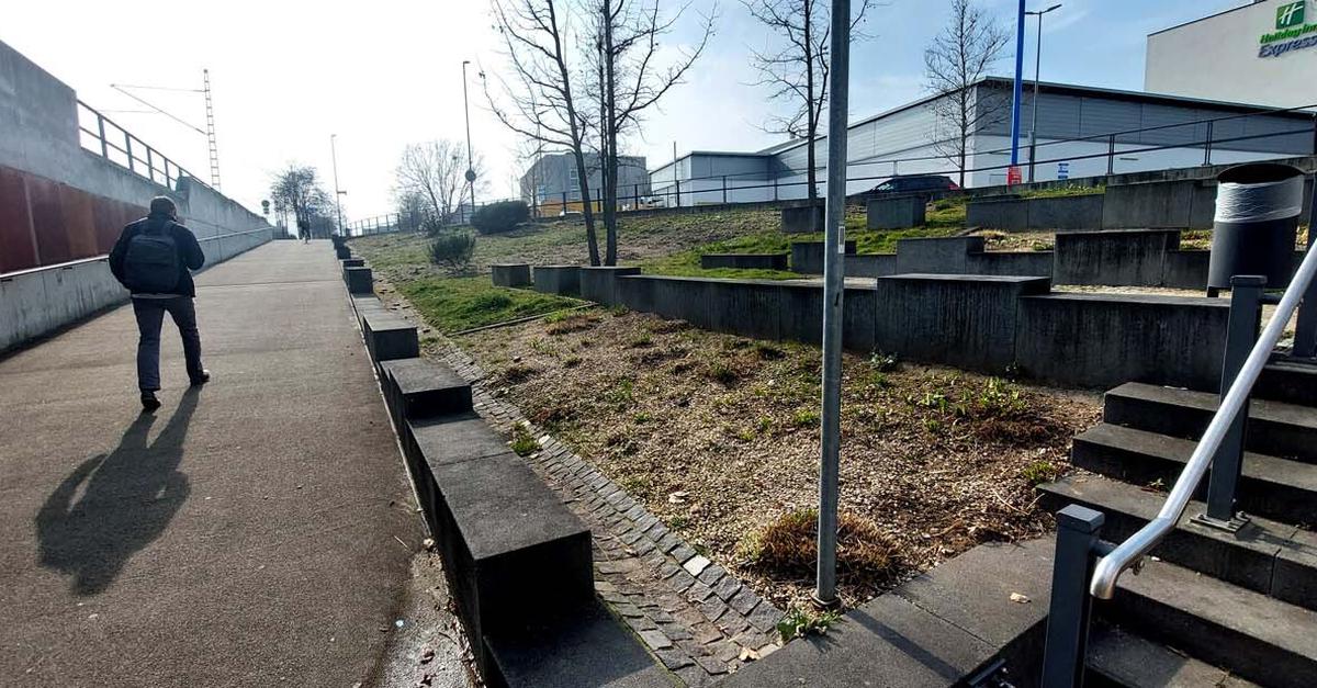 Trister Anblick, aber keine Grünpflege-Krise in Raunheim