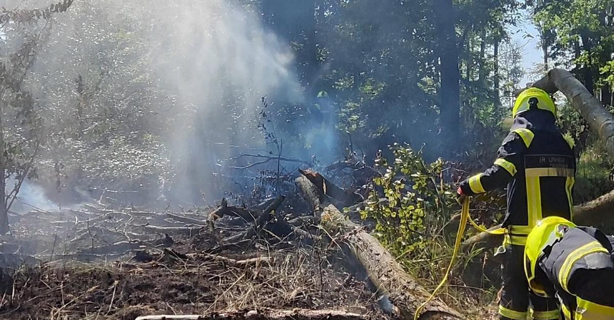 Feuerwehr löscht Brand im Raunheimer Wald