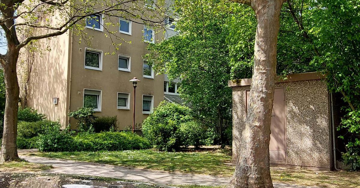 Raunheimer Ringstraßensiedlung leidet unter Vogelkot