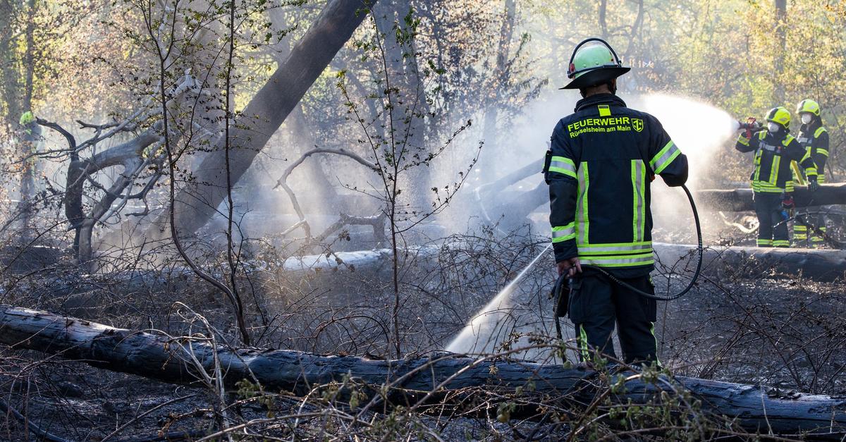 Waldbrand bei Raunheim beschäftigt mehrere Wehren