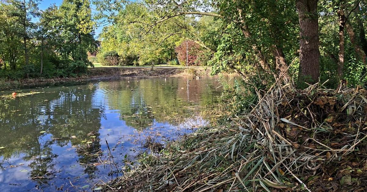 Stadtwerke reduzieren Schlamm im Lachebecken mit Bakterien