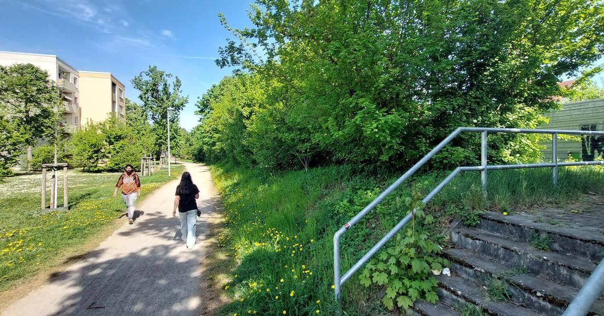 Rodungsarbeiten in Raunheim werfen Fragen auf