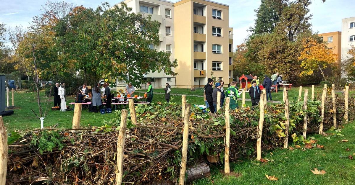 Firma „Immerbunt“ passt Grünflächen an Klimabedingungen an