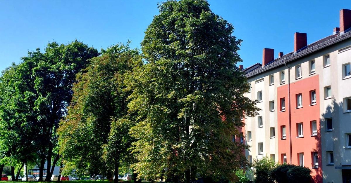 Ringstraßensiedlung soll Vorreiter bei der Begrünung werden