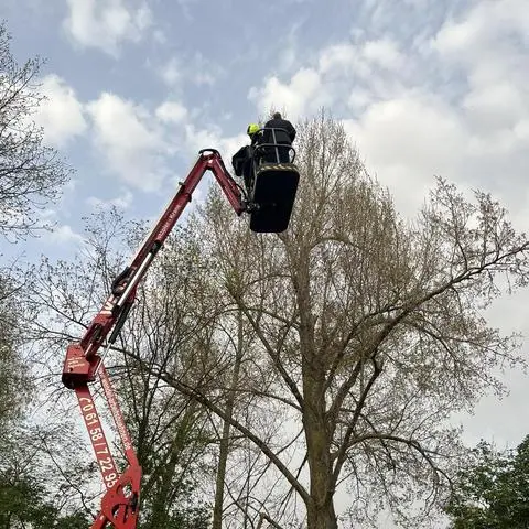 Hoch hinaus wollte eine Katze auf einem Baum am Riedsee. Auch mit einer Arbeitsbühne kommen die Einsatzkräfte nicht an sie ran.