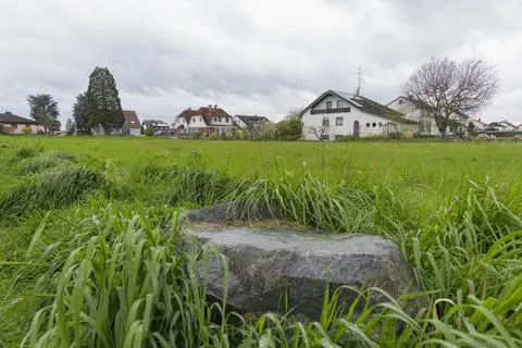 In Riedstadt gibt es noch viele unbebaute, aber baureife Grundstücke, wie diese in Leeheim. Das könnte ab 2025 teuer für die Eigentümer werden, denn mit der neuen Grundsteuer C können diese höher belastet werden.