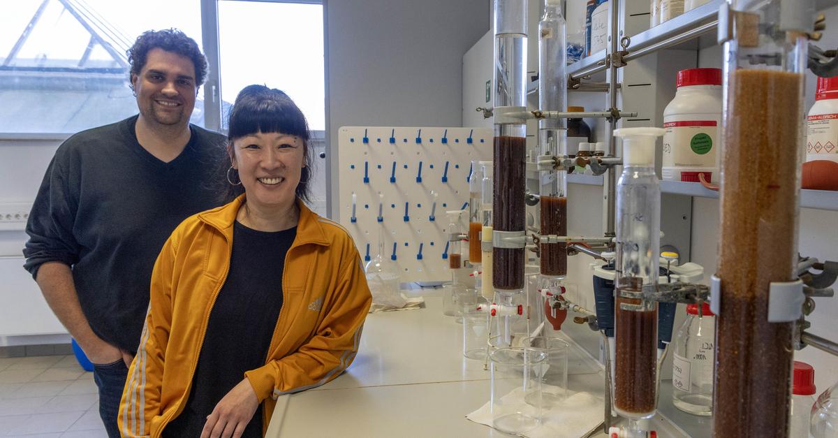 Rüsselsheim start-up: Sulfotools revolutionizes peptide production