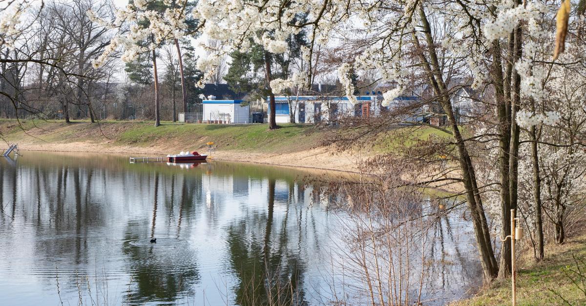 Rüsselsheimer Badesee soll schrittweise modernisiert werden