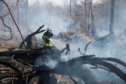 Wenn die Feuerwehr ihre Arbeit getan hat, sind die Natur oder Forstarbeiter an der Reihe, wenn es darum geht, verbrannte Bäume zu ersetzen. Archivfoto: Michael Ehresmann
