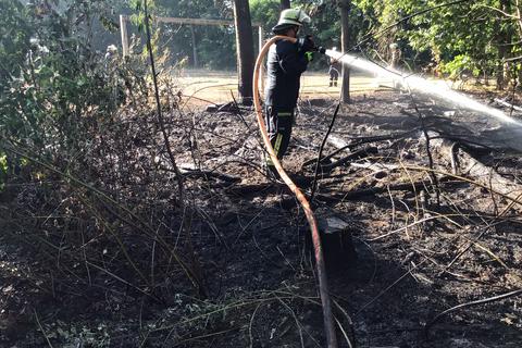 Größtenteils Wiese und Büsche brannten am Mittwochabend am Kurt-Schumacher-Ring.  Foto: Feuerwehr Rüsselsheim
