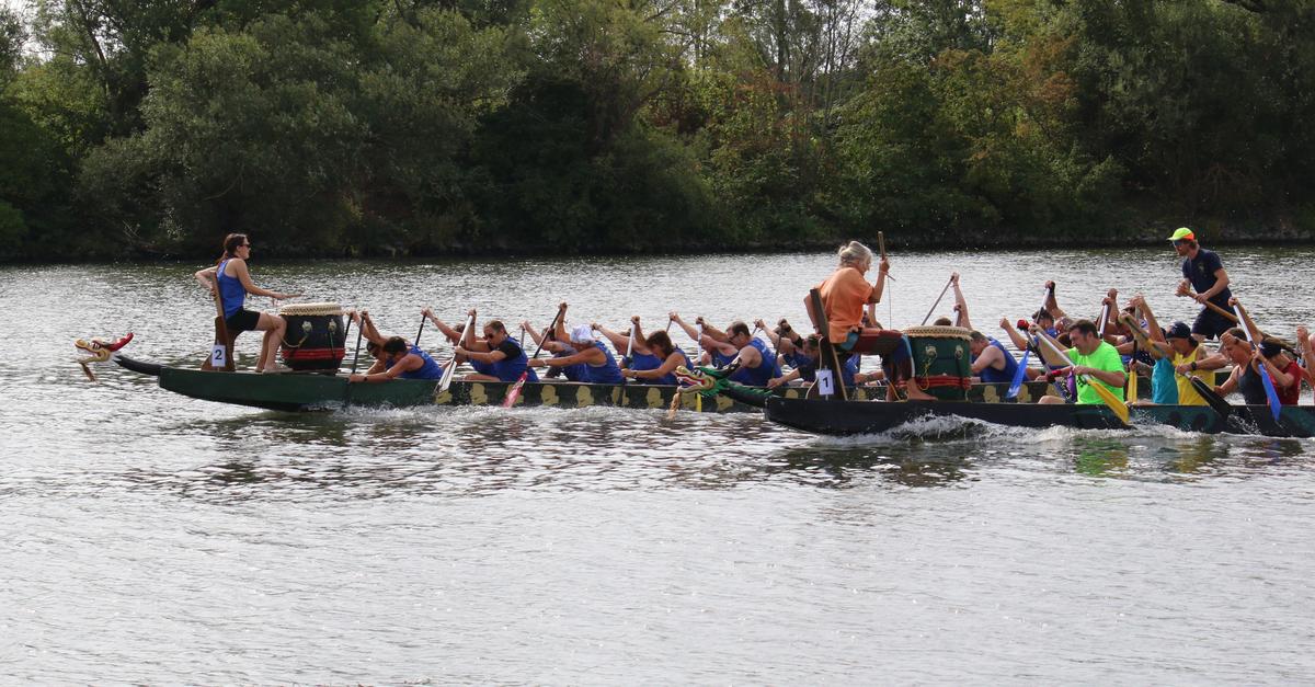 Drachenbootcup in Flörsheim: Nur die Beteiligung lässt Wünsche offen