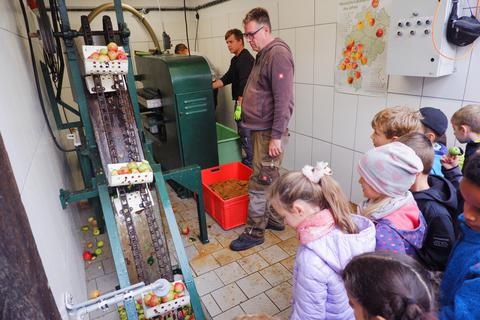 Wenn die Äpfel in der Kelter von Heiko Dörhöfer (vorne) zum Häcksler Aufzug fahren, sind oft auch Klassen von Schulkindern Augenzeugen.. Foto: Jens Etzelsberger