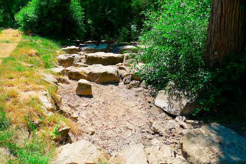 2019 war der Wickerbach im Sommer ausgetrocknet. © Main-Taunus-Kreis