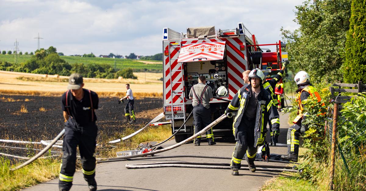 Plume of smoke visible from afar: Field fire in wheat near Flörsheim