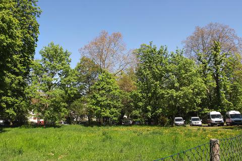 Bei der Aufstellung des Bebauungsplans geht es auch darum, wie viele der alten Bäume auf dem Gelände des Antoniushauses erhalten werden können. Archivfoto: Jürgen Kunert