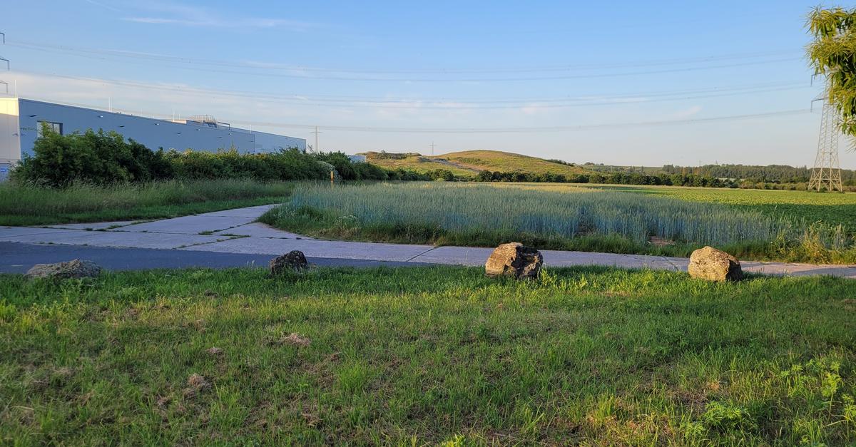 Hochheim debates: Preserving the fields or building a new Rath-KG ...